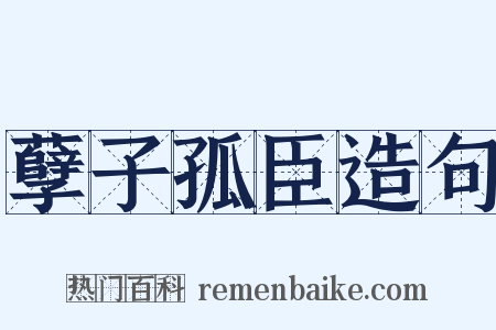 孽子孤臣造句是什么意思的图片